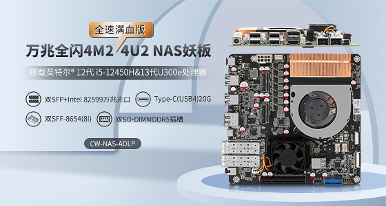 CW-NAS-ADLP 万兆全闪nas主板